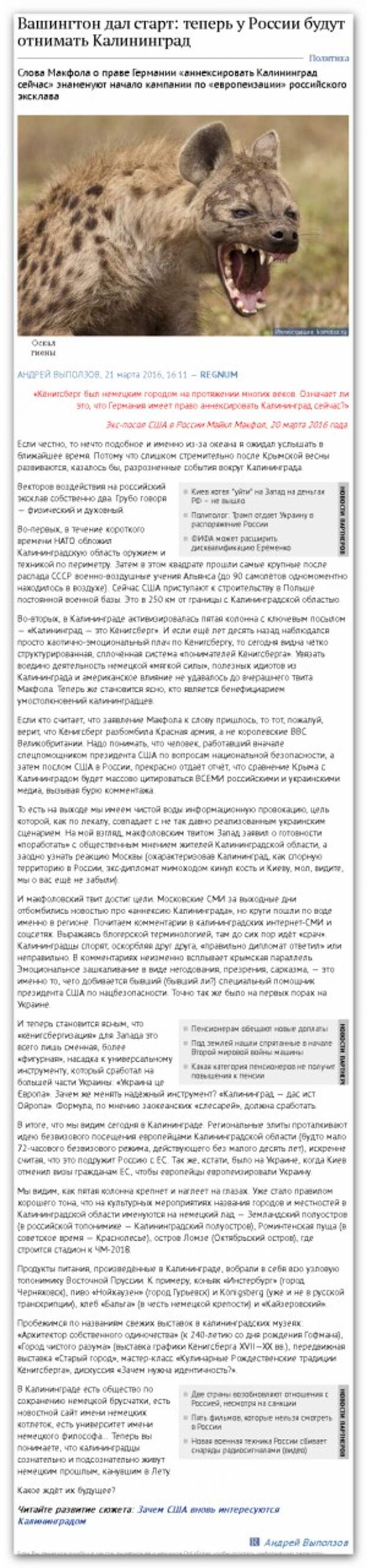 Вашингтон дал старт или как правильно есть русского слона Вашингтон дал старт или как правильно есть русского слона