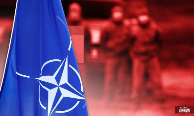 "Украина — это скорее обуза, чем военный актив": Американский политолог о расширении НАТО