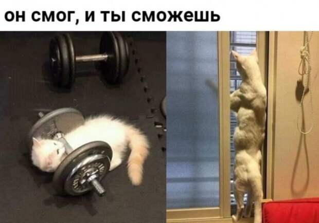 Сила желания стать лучше