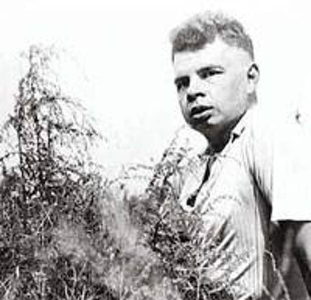 Сержант ломоносовского калибра Сержант ломоносовского калибра