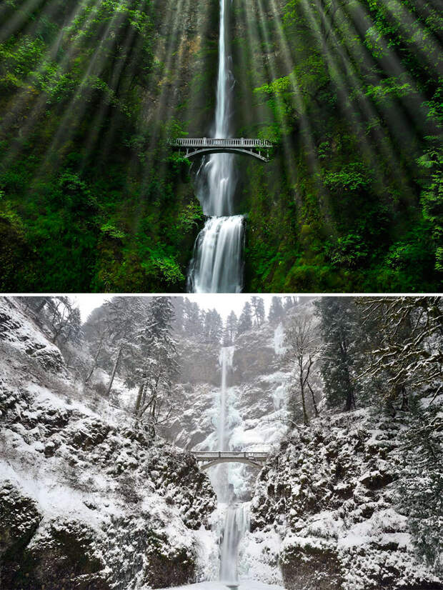 before-after-summer-winter-photography-changing-seasons-timelapse-8-576101b1b381a__880