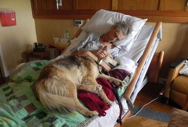 Эмоциональные снимки  конкурс, лучшие, фото, фотоподборка