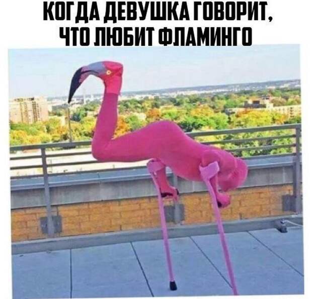 Четкая закупка, братан я в Европу и многое другое в воскресных прикольных картинках