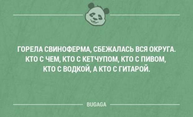Смешные фразы и мысли в картинках с надписями. Часть 67 (20 шт)