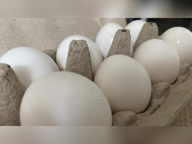 Читинские яйца скоро окажутся на полках магазинов