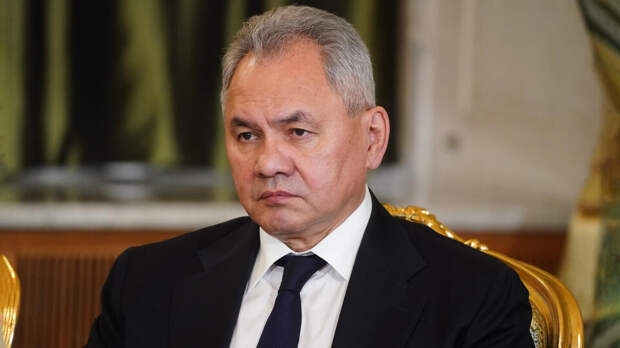 Шойгу назвал популистскими заявления США о стратегической стабильности