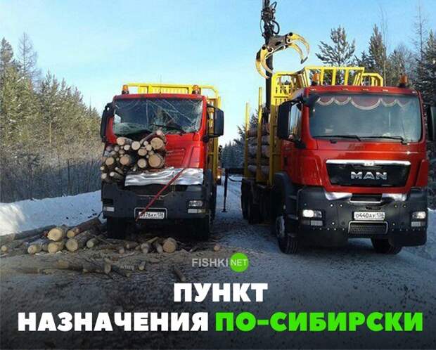 35 позитивных картинок, которые скрасят ваш рабочий день картинки, прикол, юмор