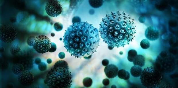 Ученые: вирусы могли участвовать в формировании человеческой клетки
