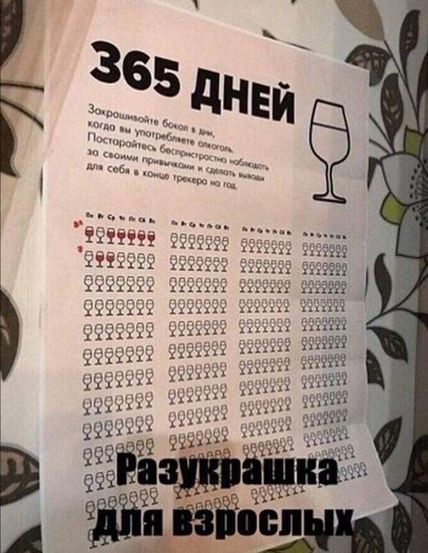 Шутки про алкоголь от пользователей социальных сетей, которые хорошо провели выходные