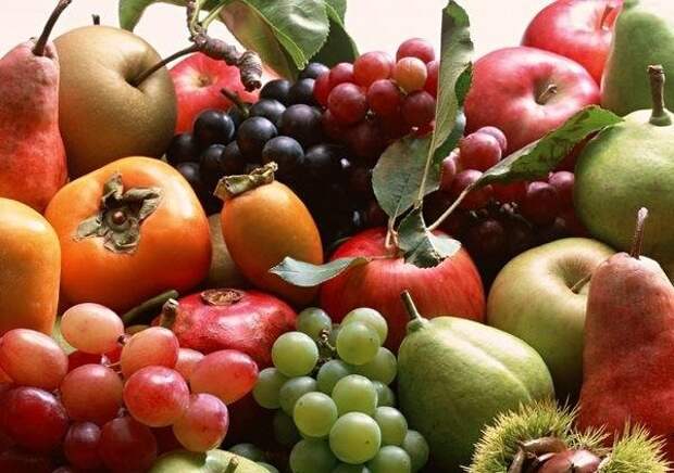 Списокпродуктов для сыроеда
