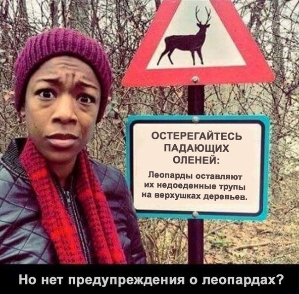 Смешные картинки с надписями прикол, юмор