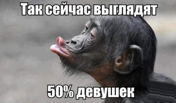 Немножко приколов Немножко приколов прикол, приколы, фото
