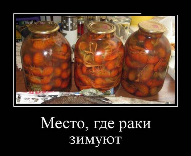 Демотиваторы (30 фото) Демотиваторы (30 фото)