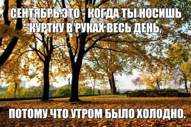 Для поднятия настроения! приколы, юмор