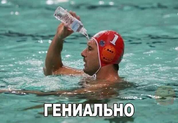 Приколы