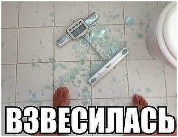 Весна идет - весне дорогу! Весна идет - весне дорогу!