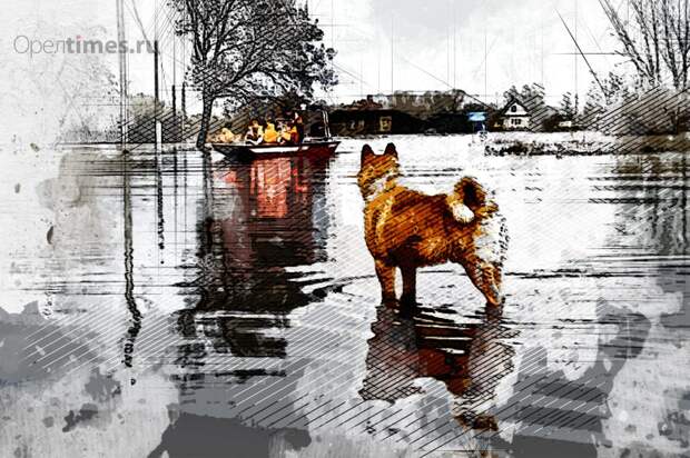 В Ливнах на случай паводка готовы развернуть 7 ПВР на 1800 человек