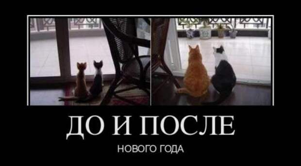 Новогодние картинки
