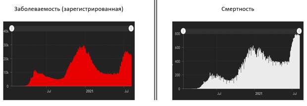 КОРОНАВИРУС — КАКОВ РЕАЛЬНЫЙ ТОЛК ОТ ВАКЦИН?