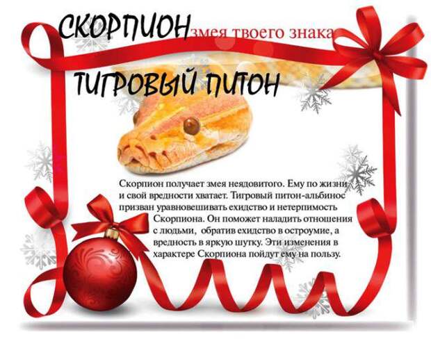 Какой змеей будешь ты в 2013 году (13 фото) Какой змеей будешь ты в 2013 году (13 фото)