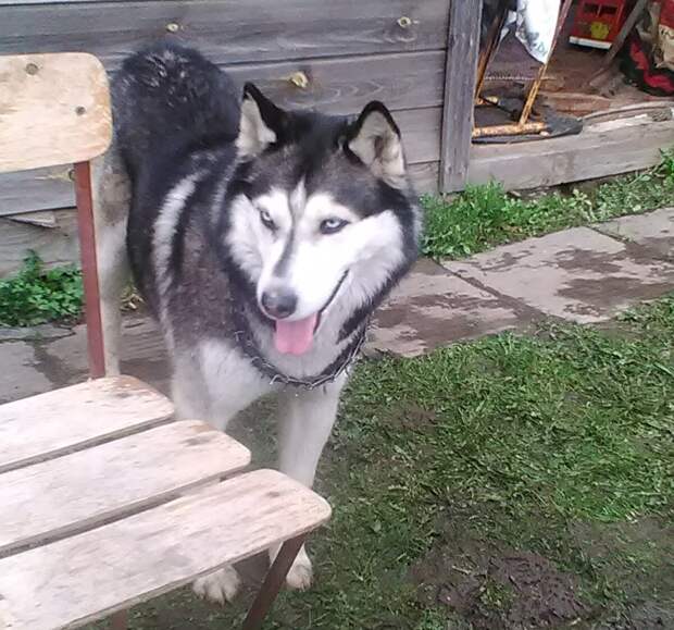 Для 12 лет мы выглядим весьма бодро!
