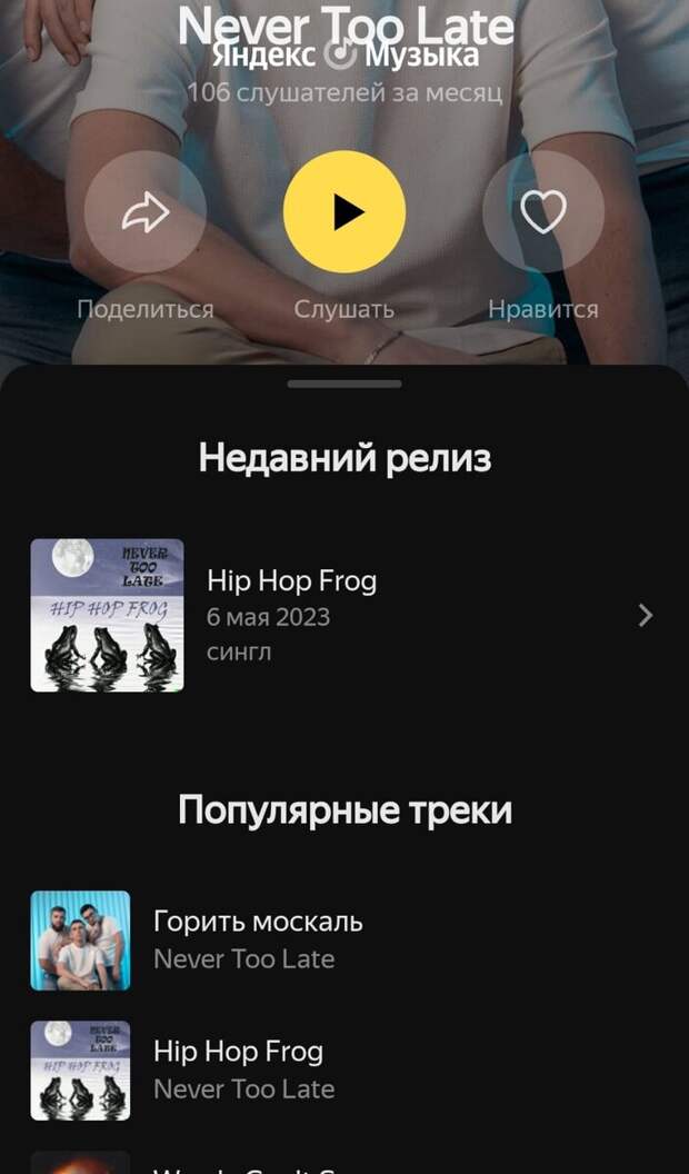 Подписчики обнаружили на «Яндекс.Музыке» песню под названием «Горить москаль» малоизвестной украинской группы Never Too Late.-4