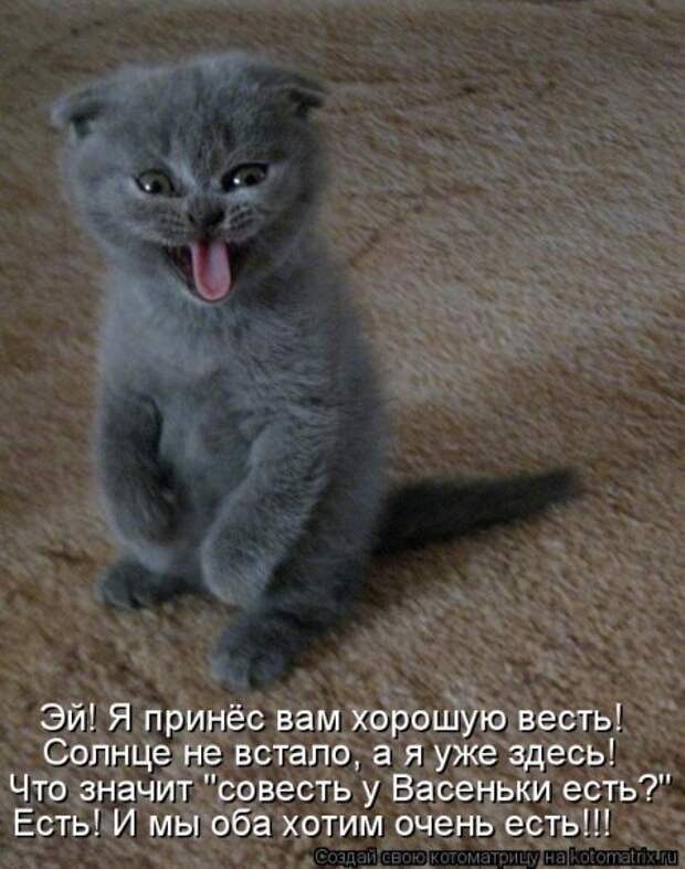 Вася ты лучший картинки