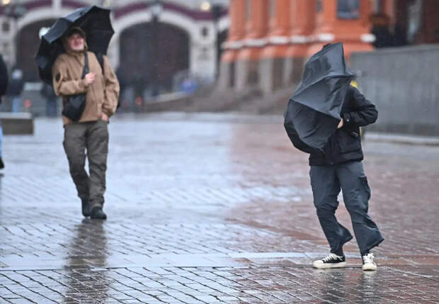 Синоптики объявили о трех днях ледяного дождя в Центральной России
