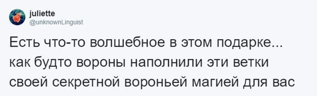 Мужчина четыре года кормил воронью семью, и те принесли ему таинственный дар Стюарт Далквист, в мире, ворона, дар, добро, история, люди, птицы