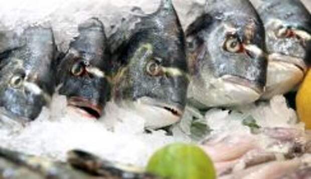 Нас кормят смертельно опасной рыбой?