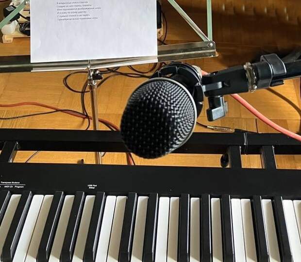 Музыкальный вечер состоится в центре на Флотской