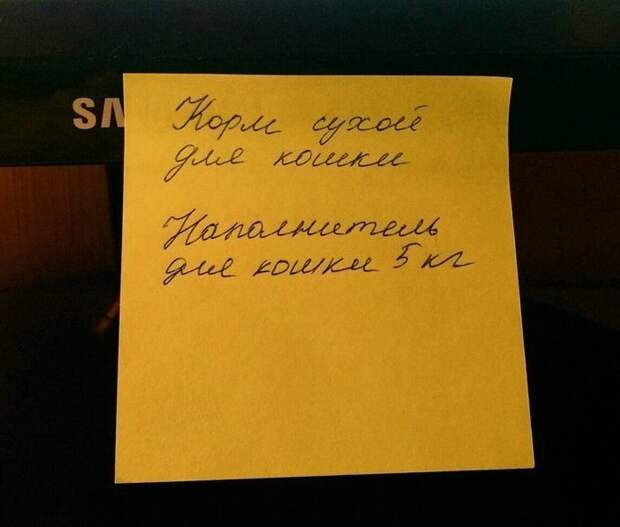 В одиночестве есть свои плюсы и совсем не обязательно заводить 40 котов