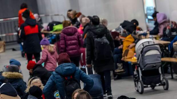 Между украинскими беженцами и волонтерами в Германии начались конфликты
