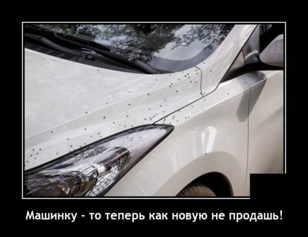 Демотиваторы 15 июля 2021