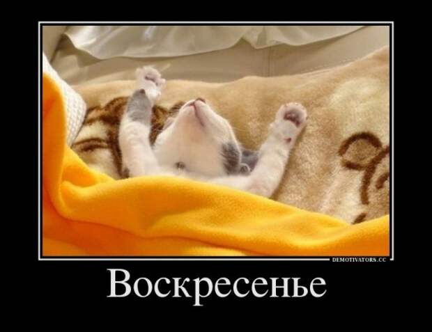 Анекдотики коротенькие, но симпатишные. Больше, чем обычно, потому что на воскресенье Анекдотики коротенькие, но симпатишные. Больше, чем обычно, потому что на воскресенье
