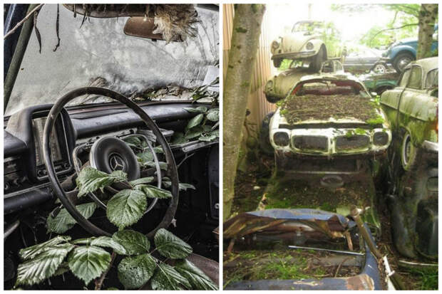 Заброшенные автомобили - кладбища ушедшей красоты автомобили. природа, заброшенные