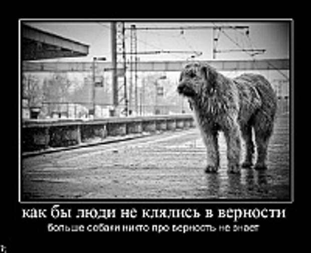 Демотиваторы фото 11
