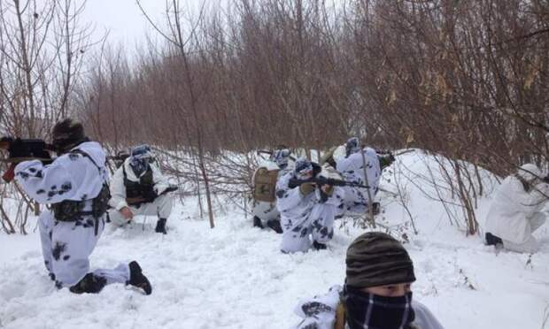 Бои в Никишино: украинские силовики должны отступить или окажутся в котле