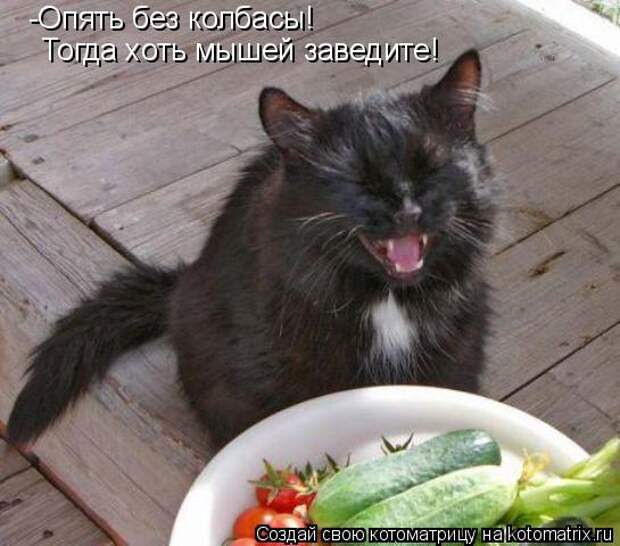Мысли вслух :)