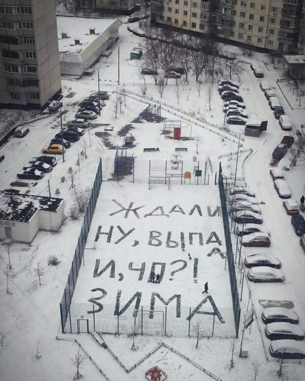 Неутешительные итоги новогодних каникул 2018 2018, вечеринки, итоги, каникулы, новый год, праздники, прикол, юмор