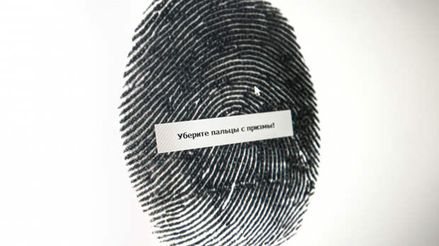 В России появится система биометрического опознавания иностранцев