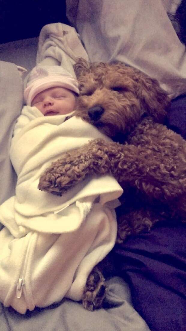 My Dog And Newborn Daughter Are Already BFF's