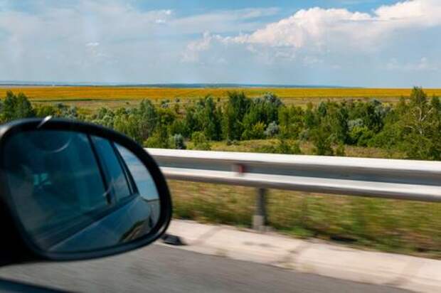 Экономика Кубани вышла на новый цикл роста: IT-отрасль встала в один ряд с АПК и курортами