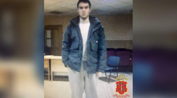 В Петербурге 92-летняя женщина отдала 18-летнему курьеру 600 тысяч рублей