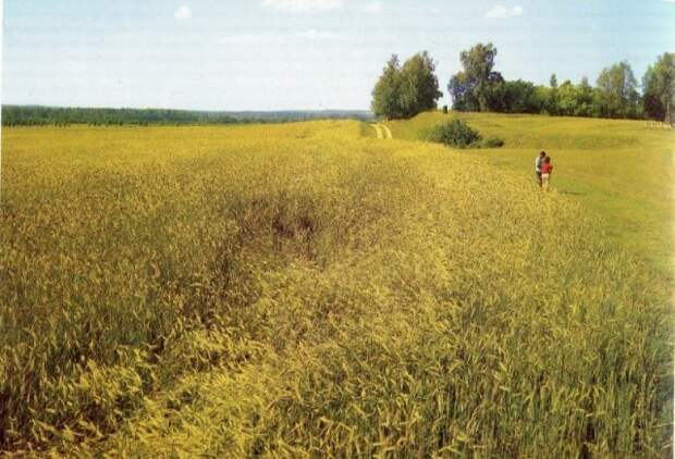 На Бородинском поле, 1970-е история, люди, мир, фото