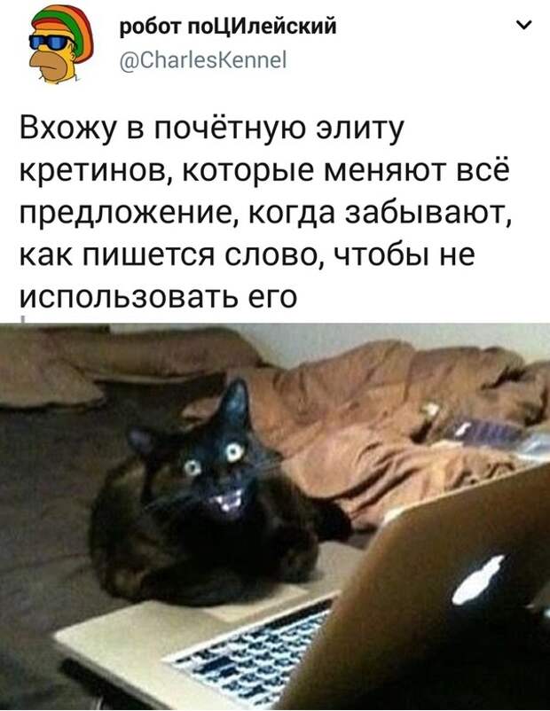 Подборка прикольных картинок
