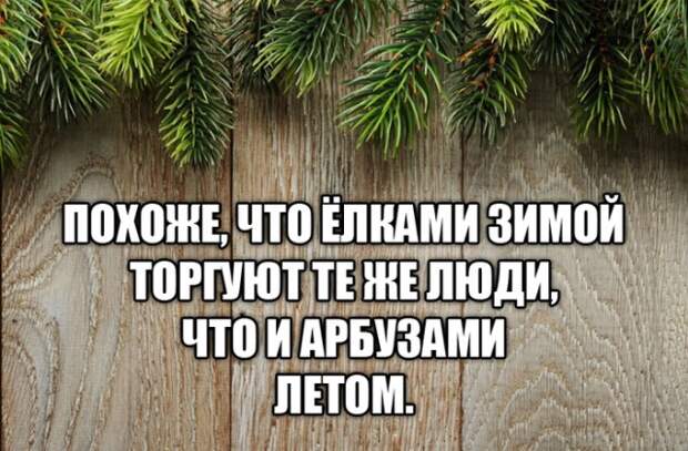 Подборка картинок (21 фото)