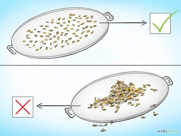 Plant Tomatoes from Seed Step 14.jpg