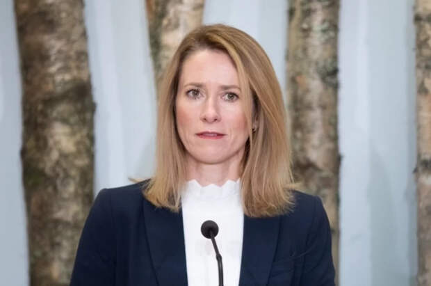 Politico: Каллас предложила членам ЕП начать выпивать из-за ситуации в мире