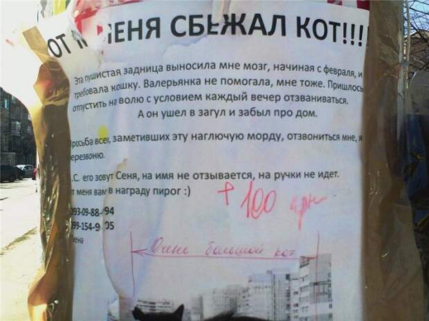 Маразмики :) №29414